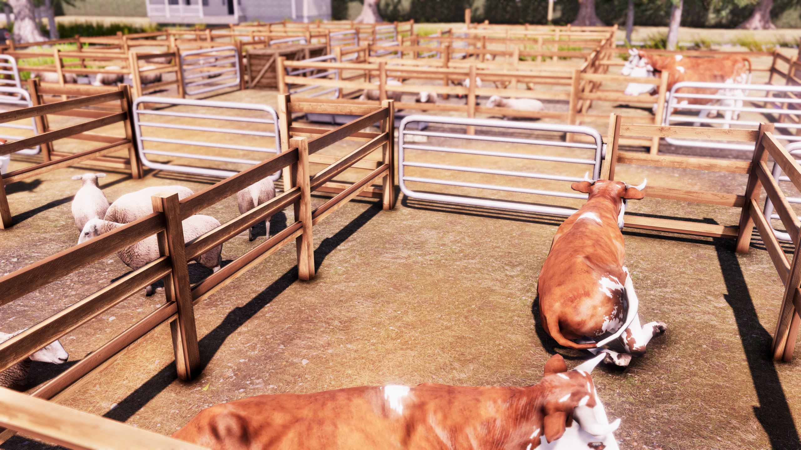 Real Farm - Imagen 13